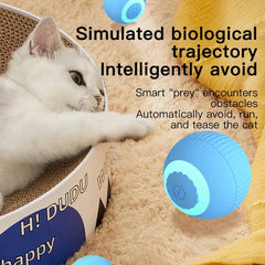 Cat Interactive Ball Training Self-moving Kitten Electric Cat Ball Toys Electronic Automatic Rolling Magic Ball Toys for Cat