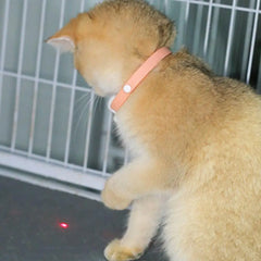 Rechargeable Motion Activated Cat Laser Toy Cat Teaser Laser Collar ,Interactive Cat Toys For Indoor Cats/Kittene/Dog