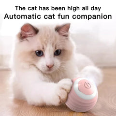 Cat Interactive Ball Training Self-moving Kitten Electric Cat Ball Toys Electronic Automatic Rolling Magic Ball Toys for Cat