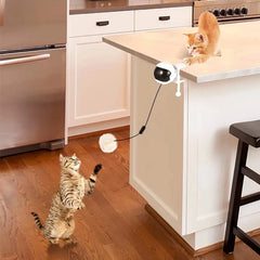 1Pc Fun Lifting Ball Electric Motion Cat Toy With Automatic Retractable Cat Teasing Ball Rotating Interactive Puzzle Pet Toys