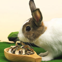 50g Rabbit Dried Papaya Molar Slice Small Pet Teeth Grinding Toy for Chinchilla Guinea Pig Hamster Natural Snacks Chew Toy