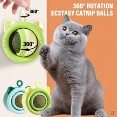 Choice Natural Catnip Cat Wall Stick-on Ball Toy Rotating Cat Mint Ball Cats Accessories Pet Products Digestion Cat Grass Snack